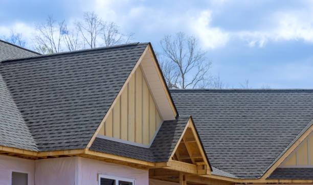 Best Asphalt Shingle Roofing  in Swanton, OH